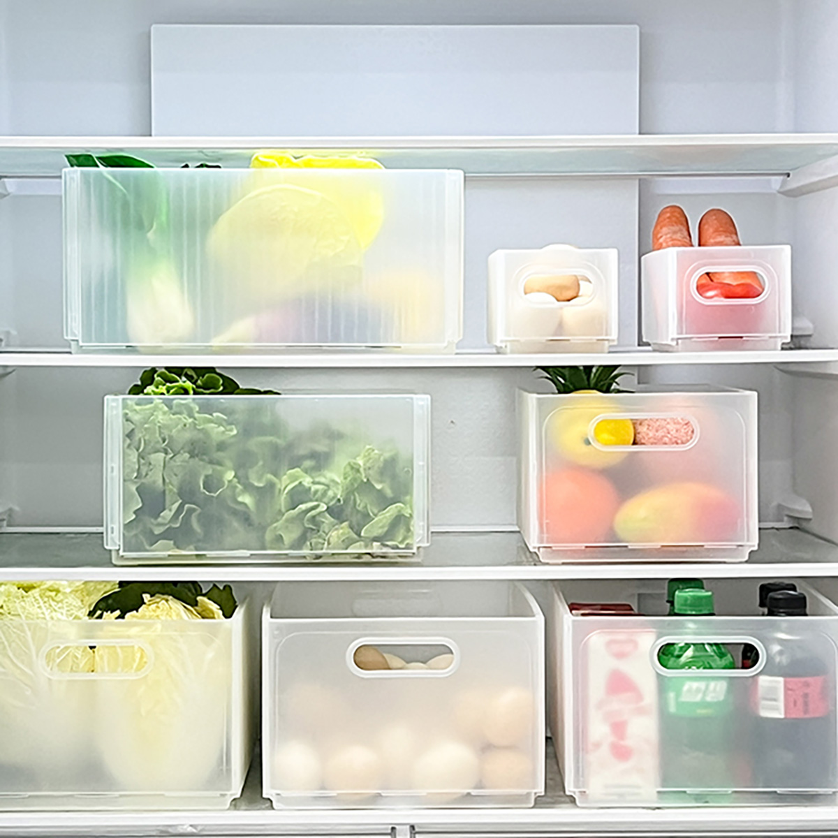 WORTHBUY Scatola portaoggetti  - Food Storage Without Plastic recensione e prezzo