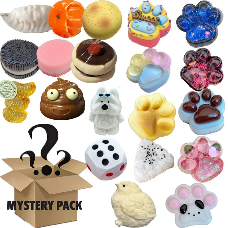 Mystery Fidget Toy Blind Box,  - Food Storage Bag Organizer recensione e prezzo