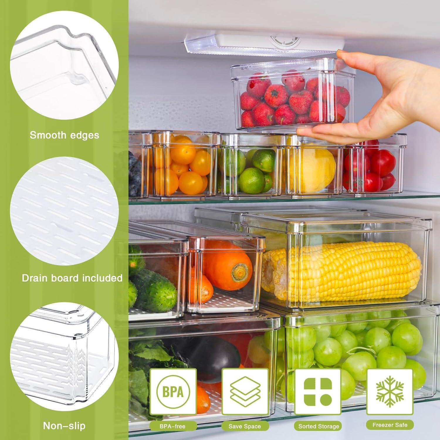 Set da 10/14 Contenitori Organ - Food Storage Without Plastic recensione e prezzo