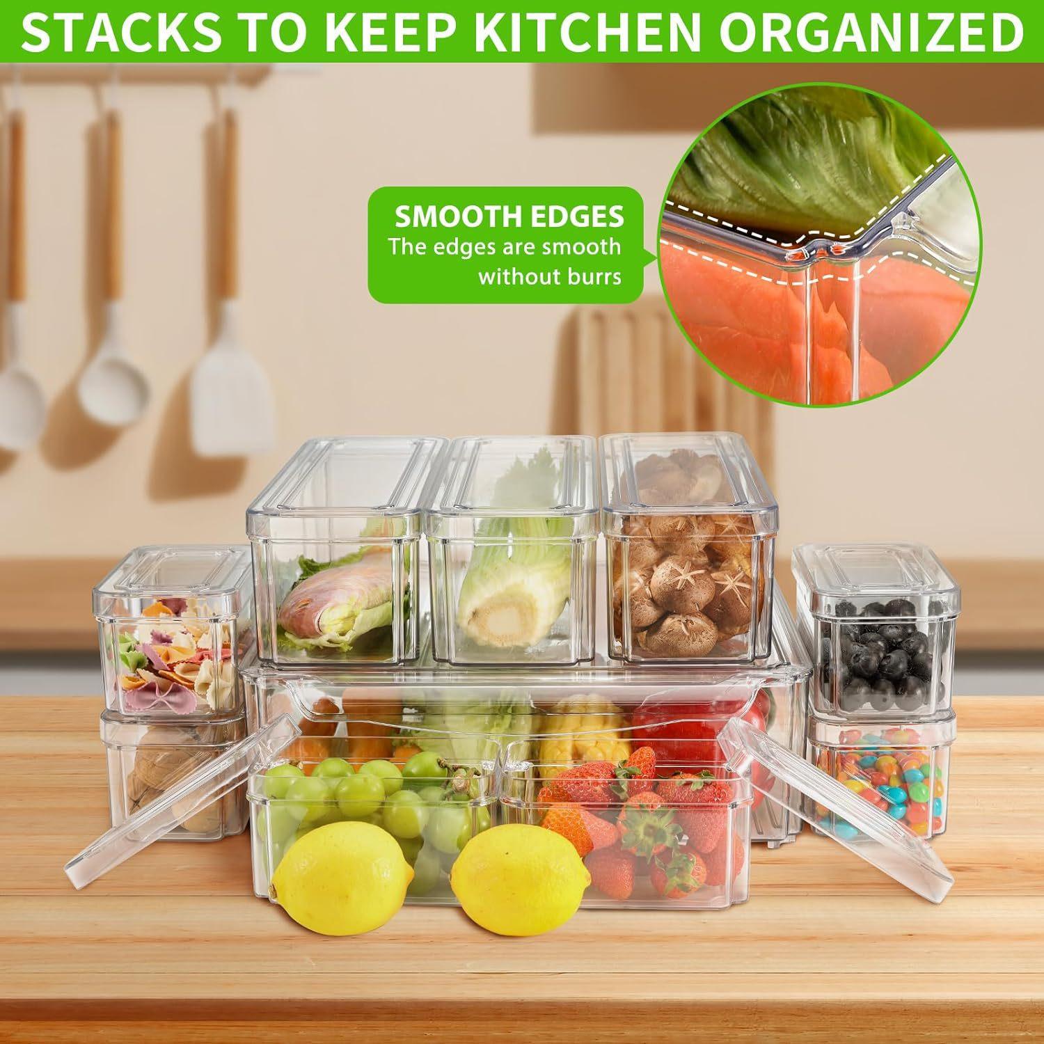 Set da 10/14 Contenitori Organ - Food Storage Without Plastic recensione e prezzo