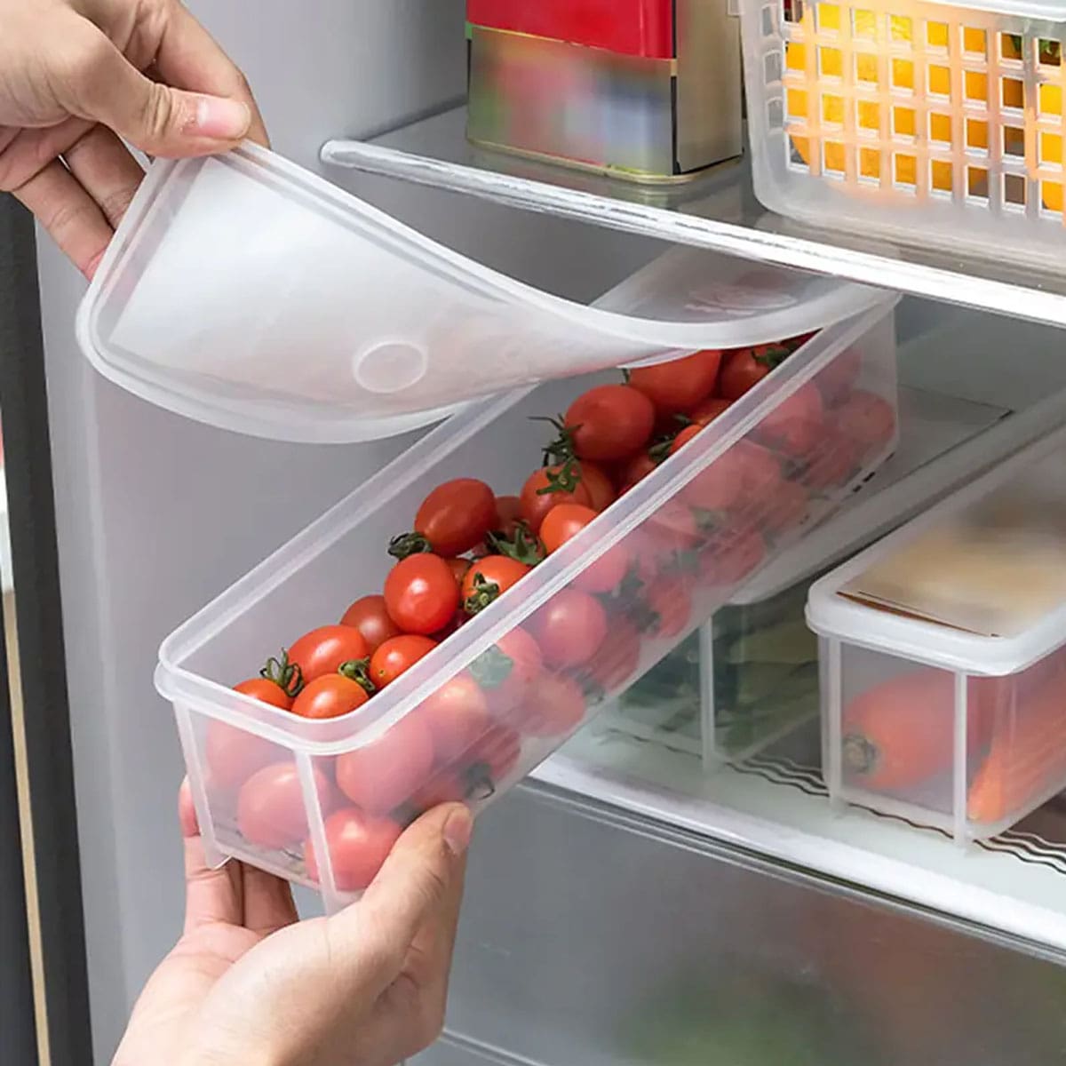 1 scatola portaoggetti in plas - Food Storage Order recensione e prezzo
