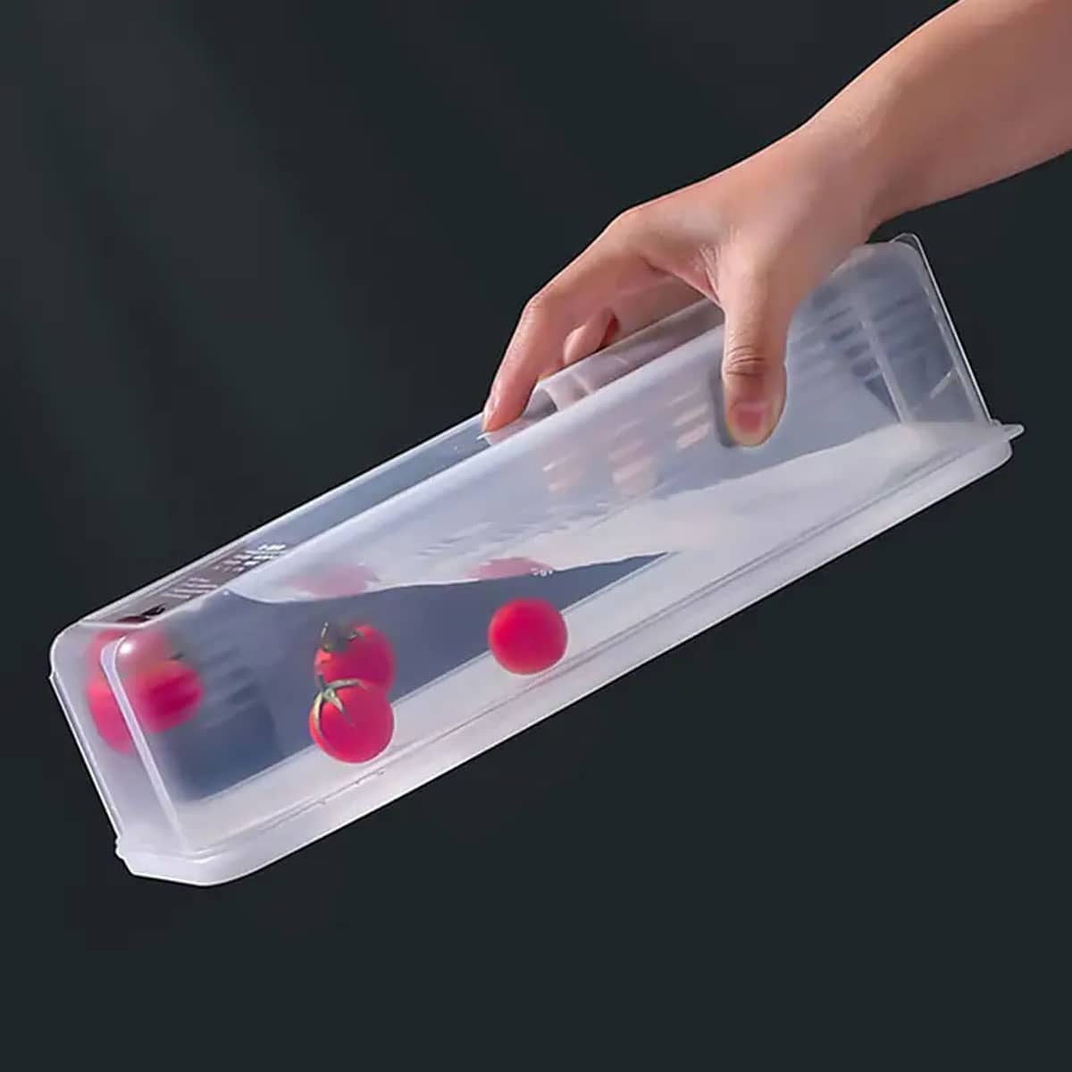 1 scatola portaoggetti in plas - Food Storage Order recensione e prezzo